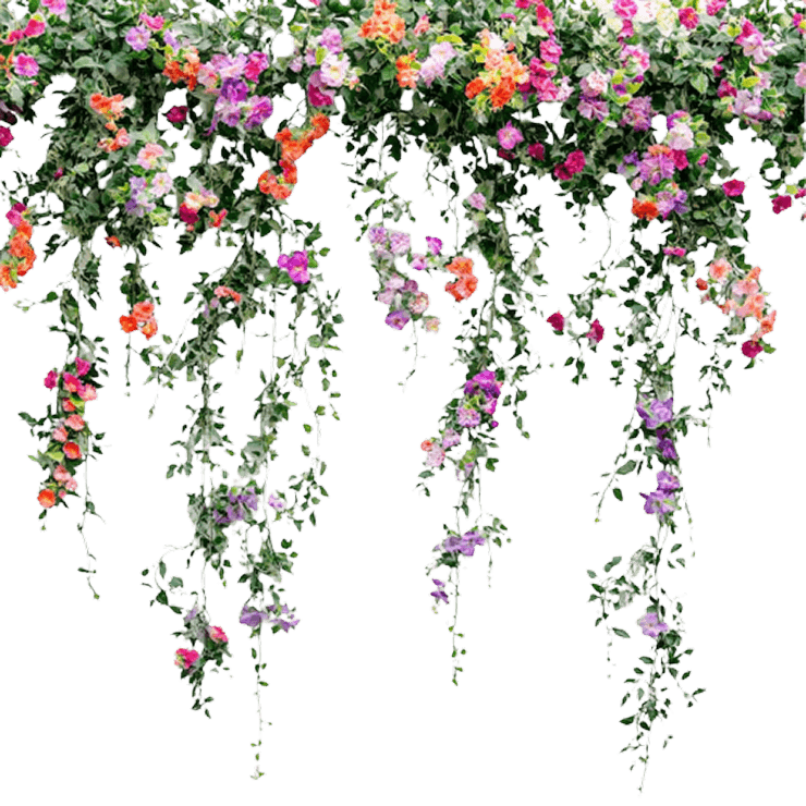 Flower Decoration